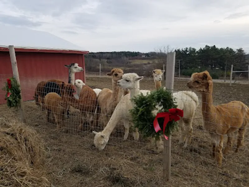 Weskeag Farms