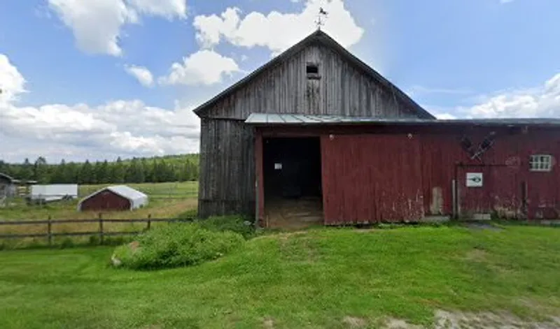 Snowshoe Farm Alpacas