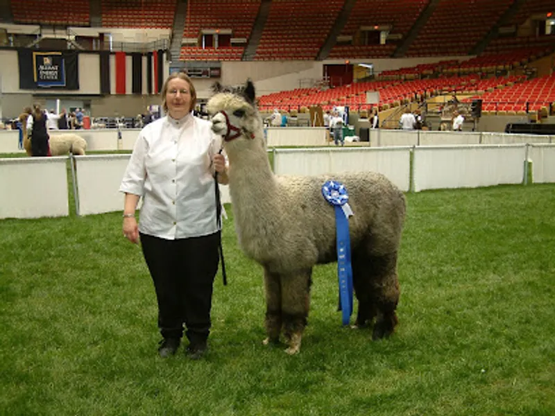 Foothills Alpaca Farm
