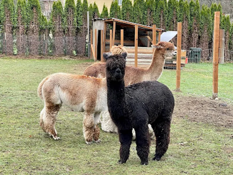 Infinity Farm Issaquah