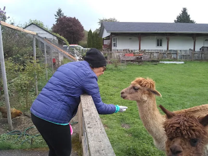 Firwood Farm Alpacas & Gift Shop