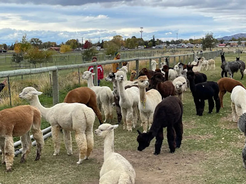 Crescent Moon Ranch
