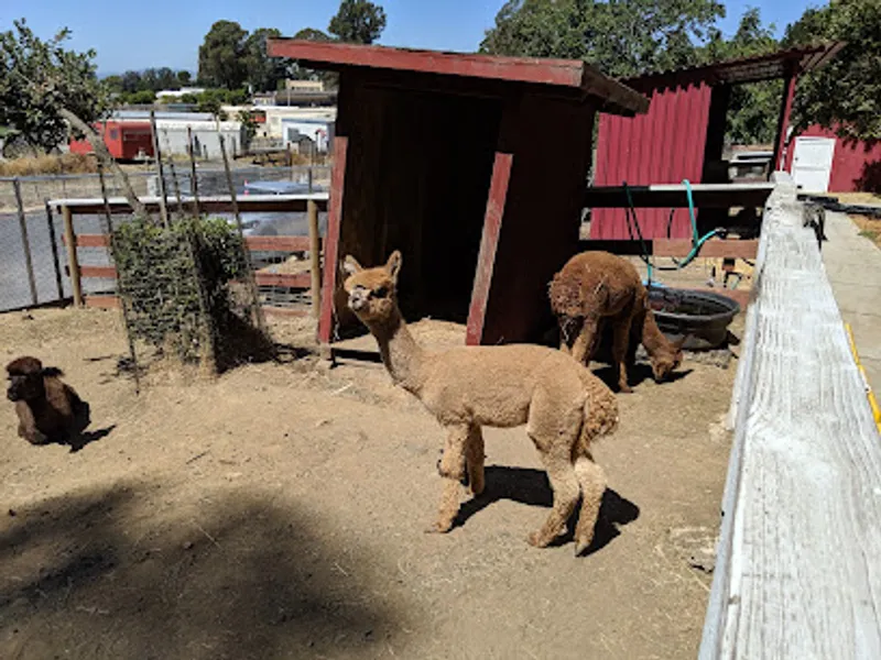 Loma Vista Farm