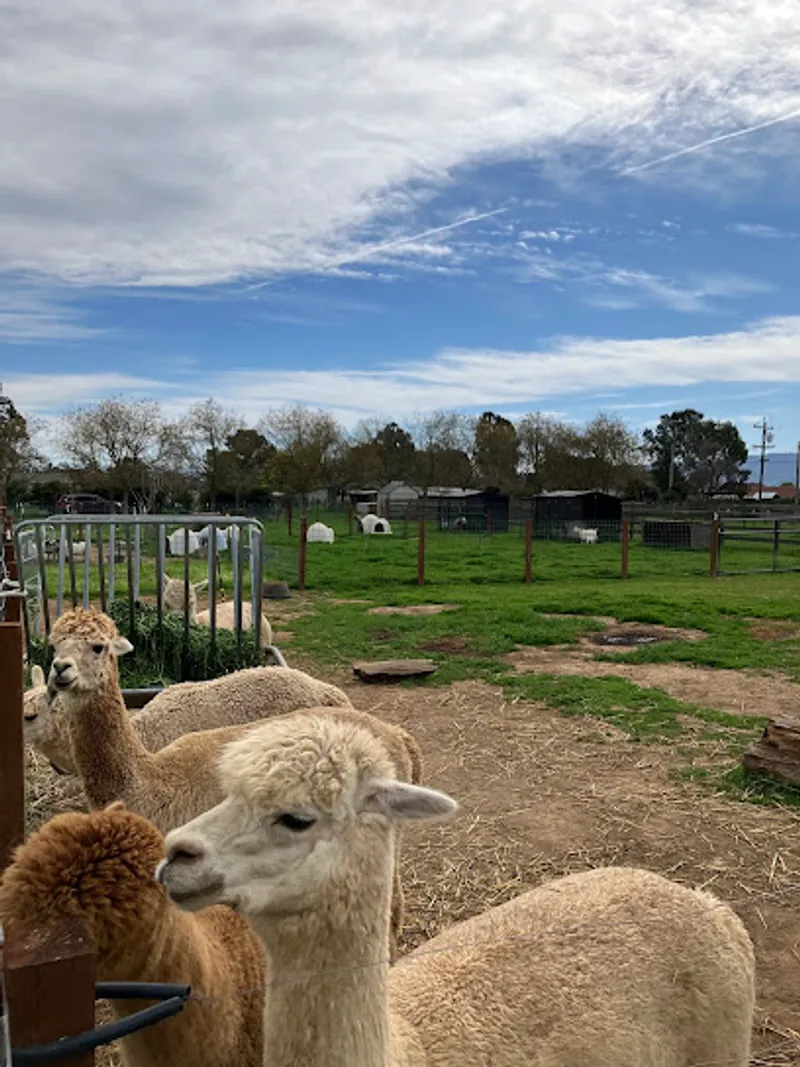Back to Eden Ranch