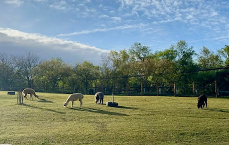 Misfit Ranch