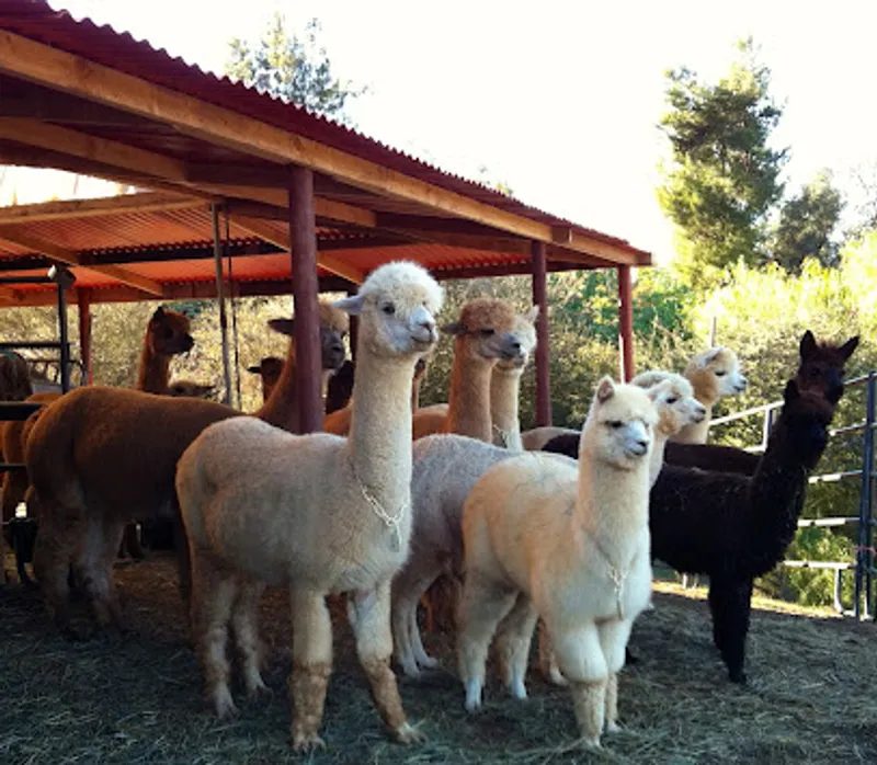 Creek Point Farms LLC
