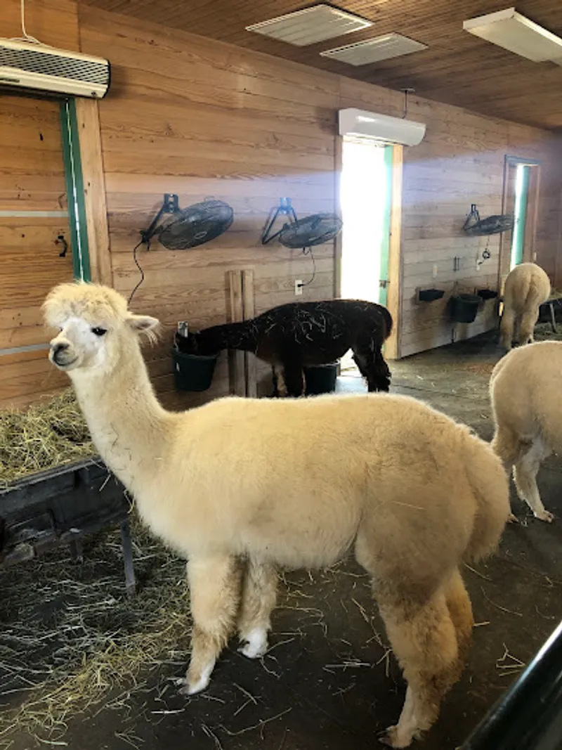 Peeka Ranch