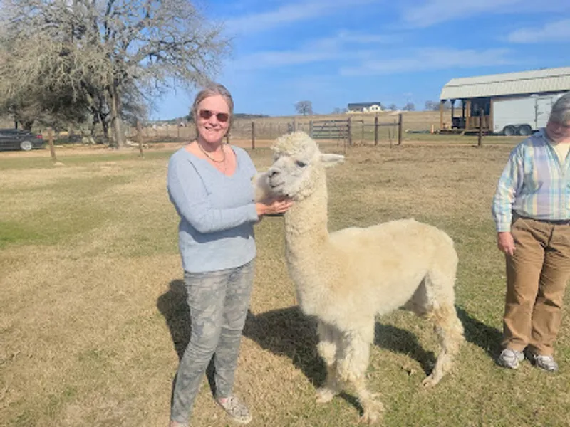 Hummers Homestead Alpacas