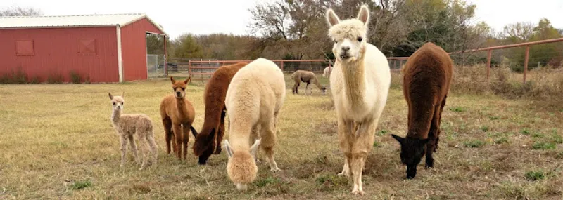 TX-Ture Farm