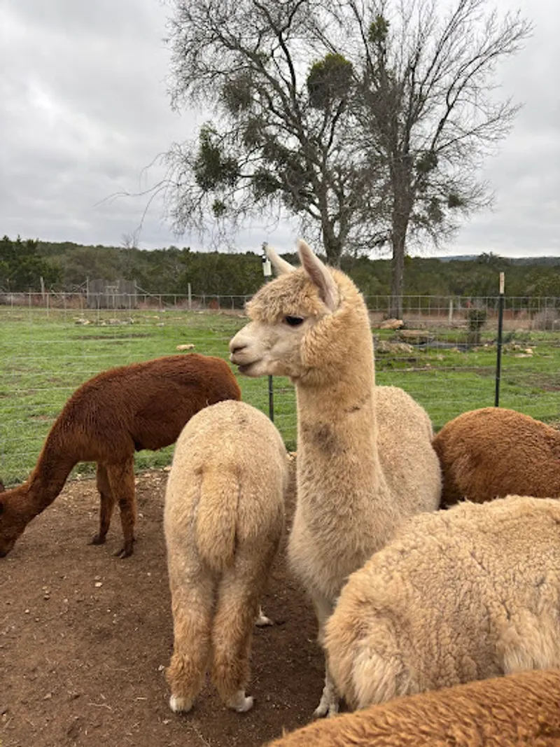 Sundance Hill Farm