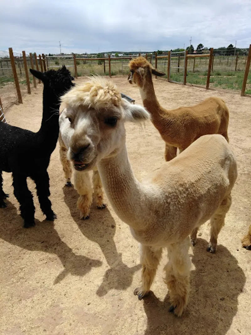 Hollywick Farms LLC
