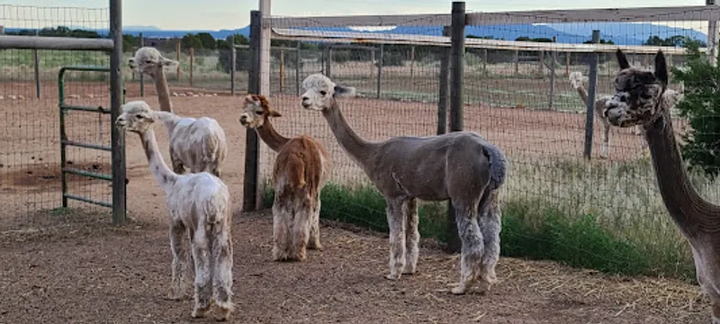 Casa Alpaca