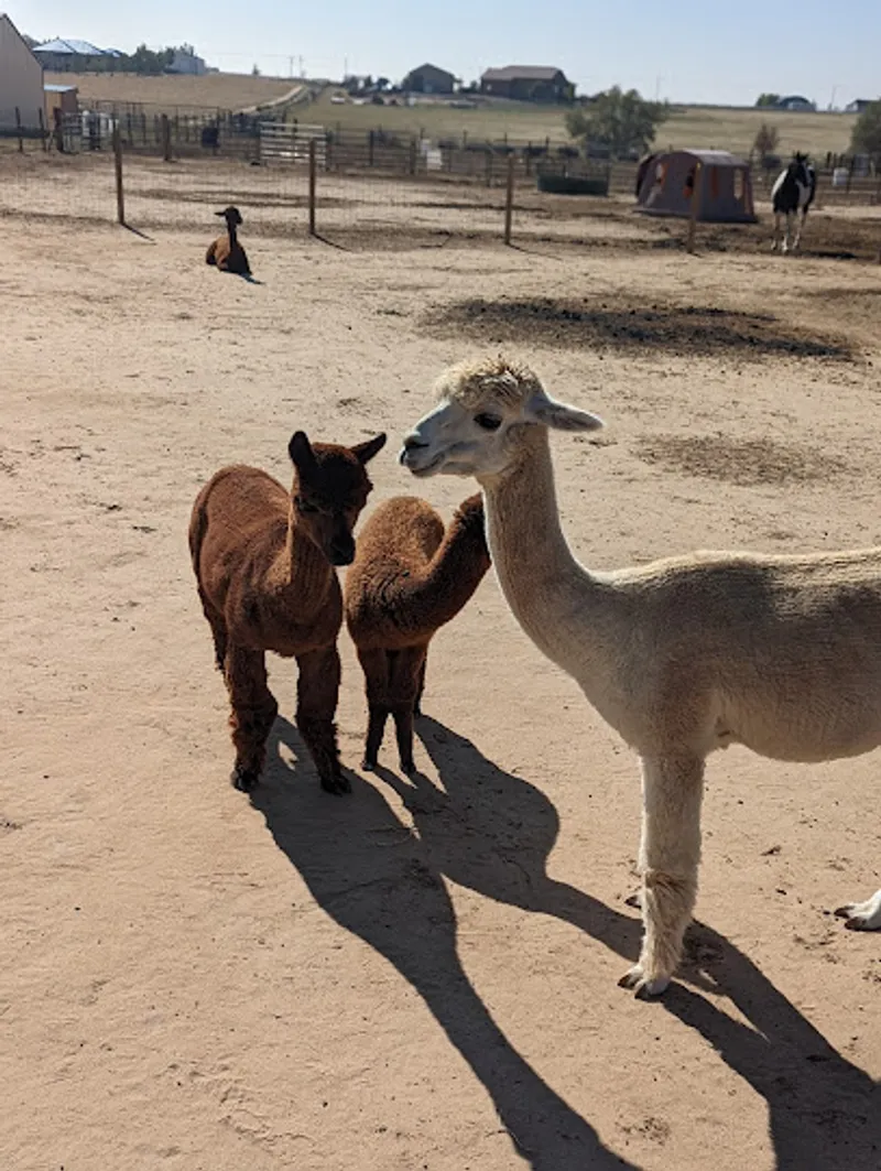 SonFlower Ranch
