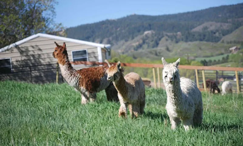 Triple H Ranch