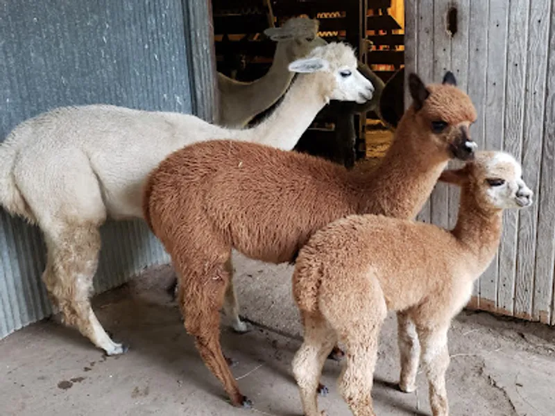 Heartland Farm
