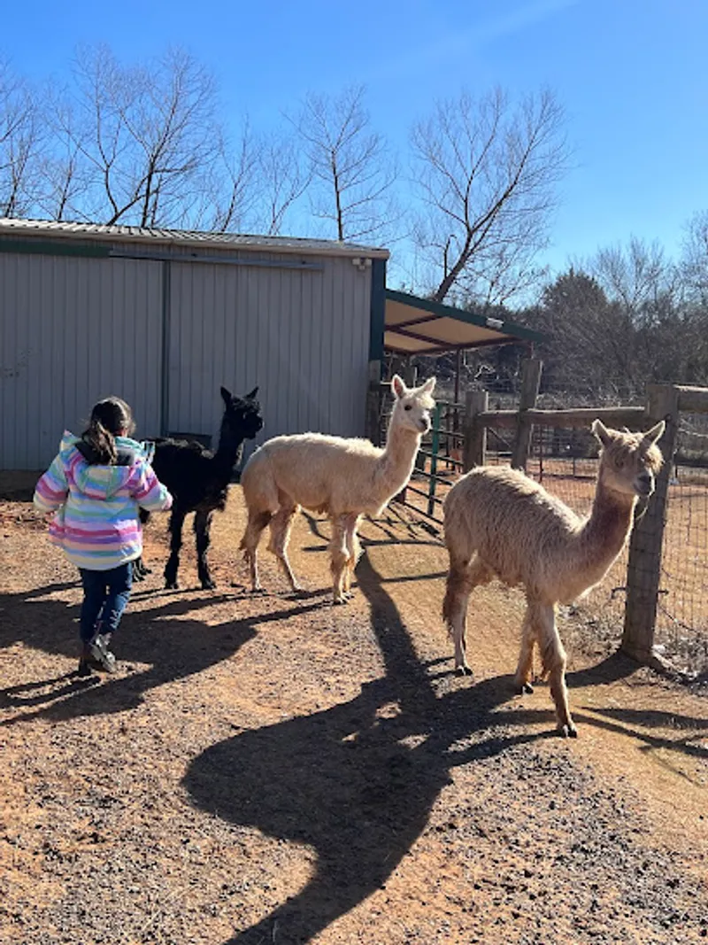 Awesome Acres 'Pacas & Pyrs