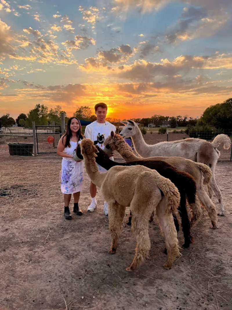 Lazy Moon Ranch