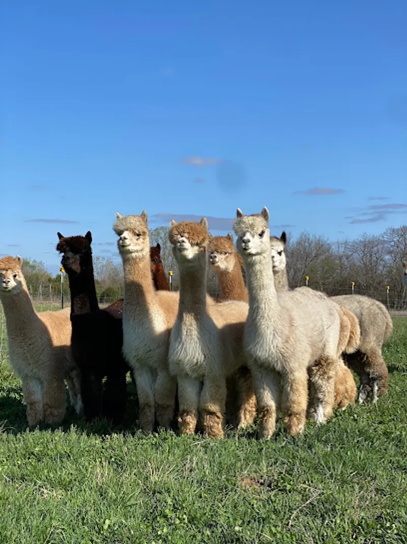 RNR Ridge Farms