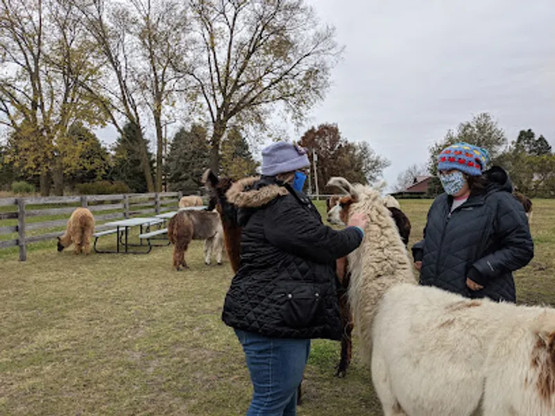 Namaste Farm Llamas