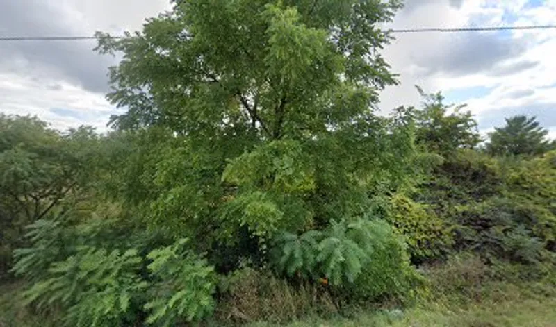 Five Oaks Farm LLC