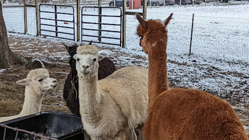 CanDo Acres