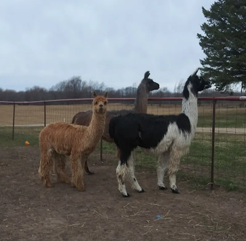Fehrenbach Farms