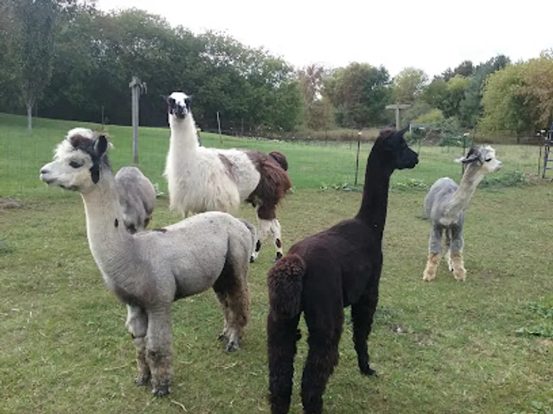 Walnut Hill Farm