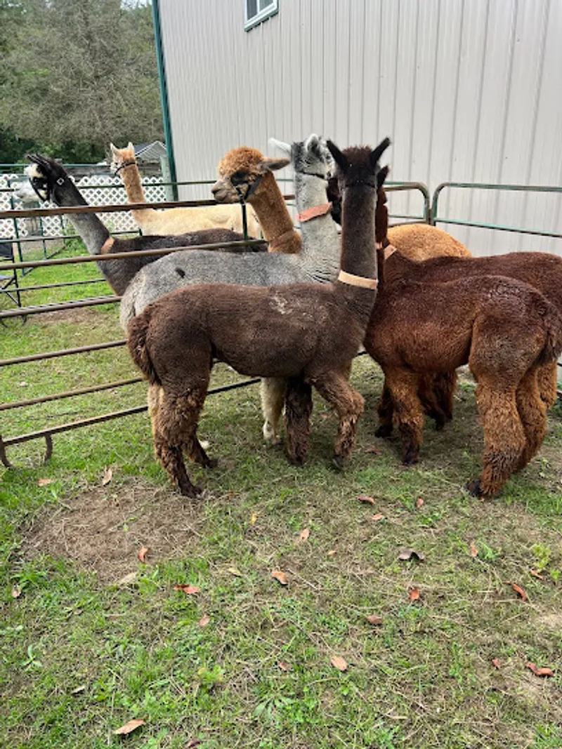 Zodiac Ranch