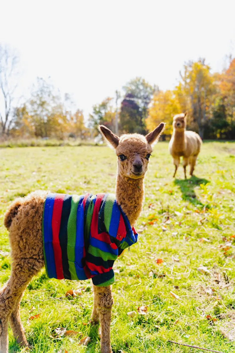 Good Creation Farm