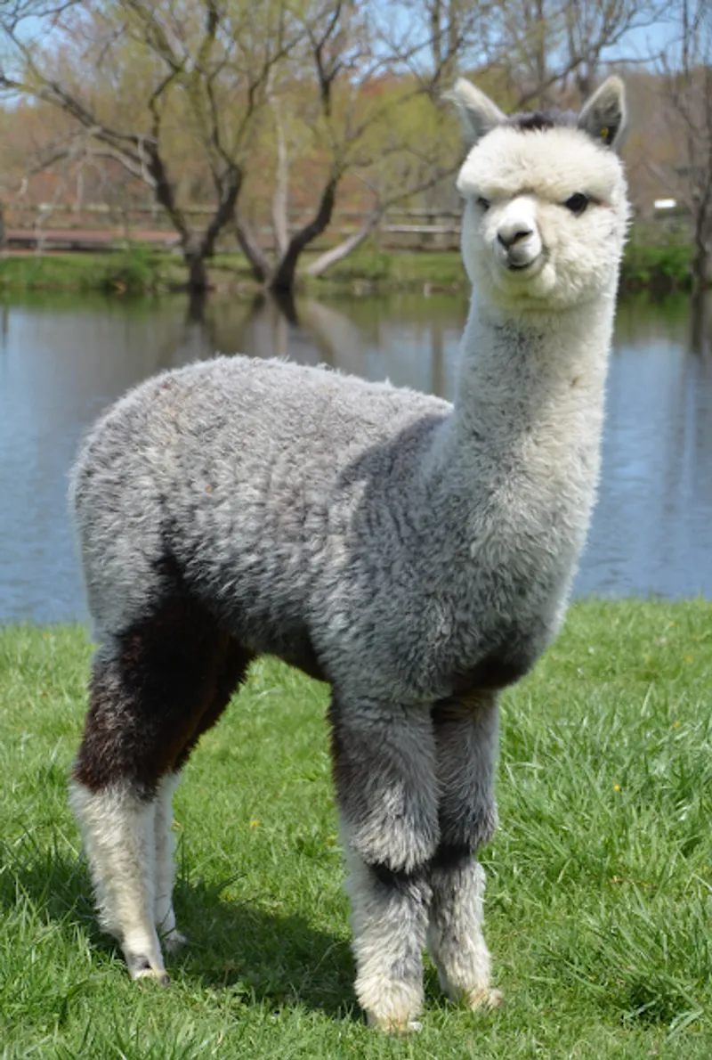 Fulcrum Farms