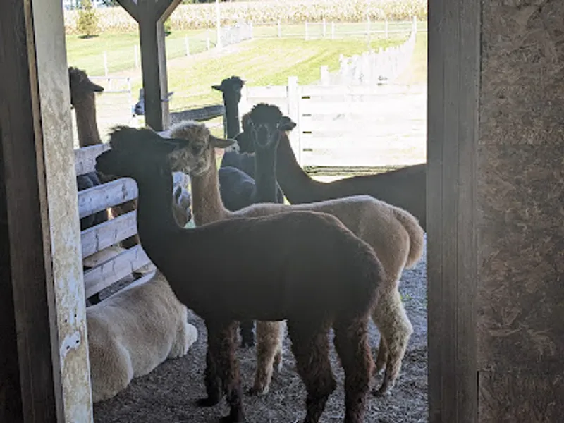 Skylar Brook Farm