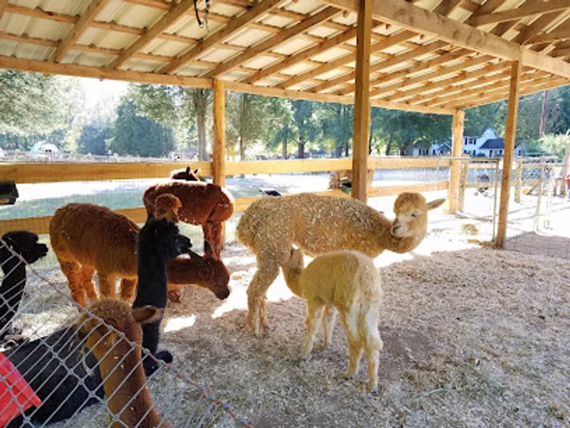 Smith Hollow Farm