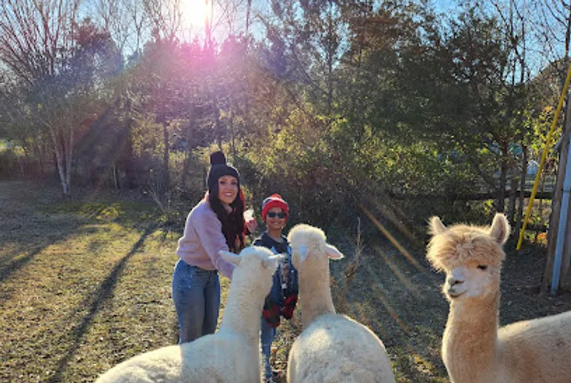Farm and Fleece Alpaca Ranch