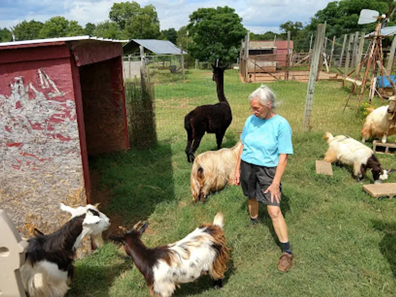 Lucky Acres Farm