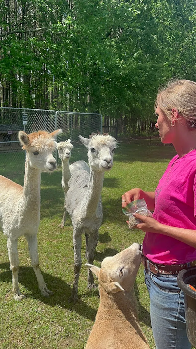 Haven Farms