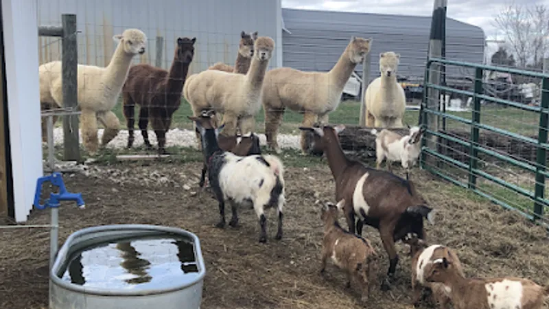 S&B Bell Farms