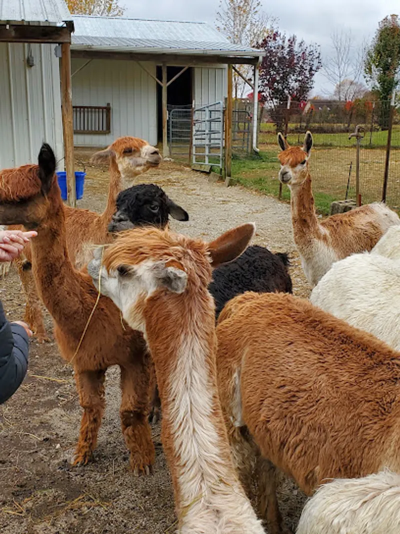 Montrose Farms