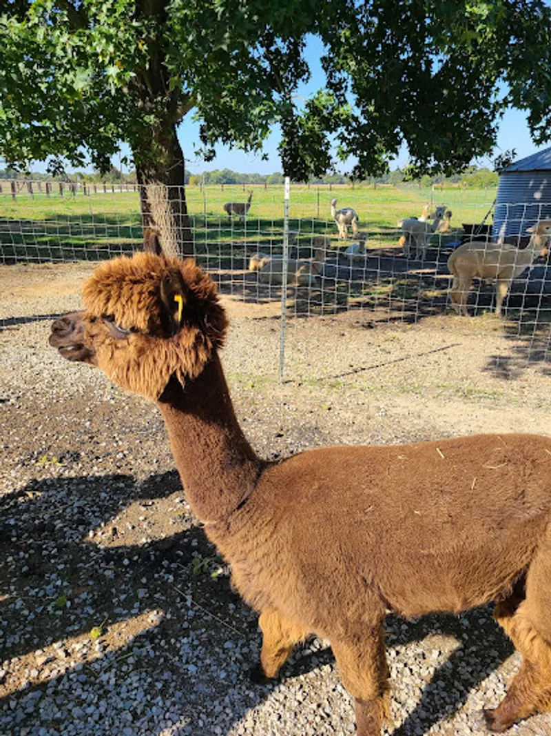 Bernard Family Farm Open by appointment only