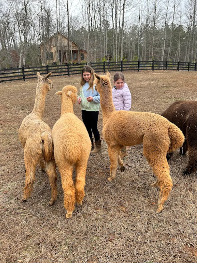Tucker Ray Farm