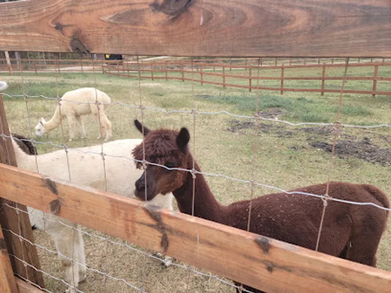 Spring Haven Farm LLC