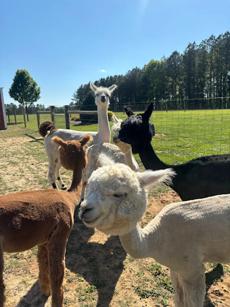 Hardly Farm LLC