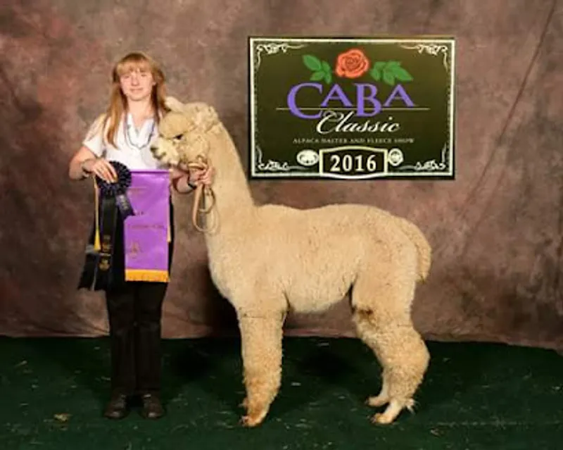 Alpaca Bella Fina Ranch LLC