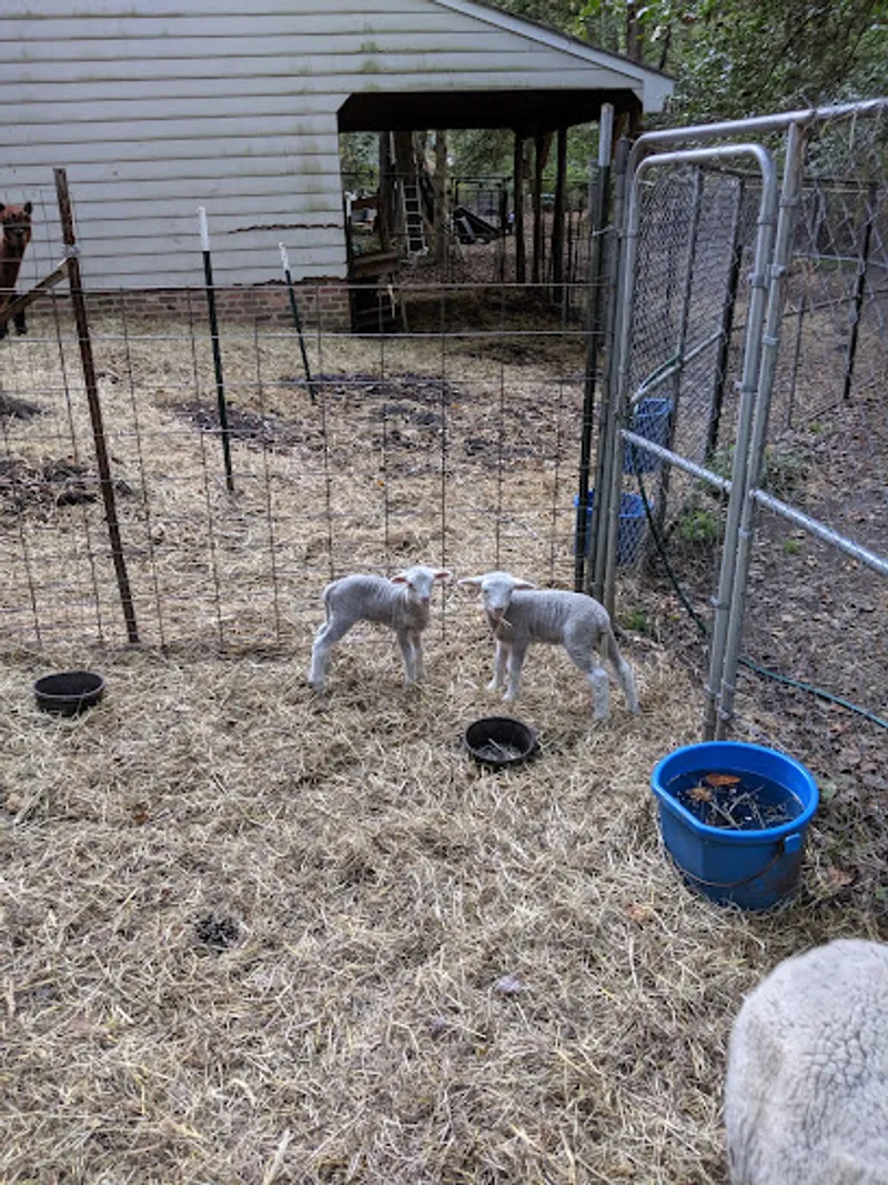 Hope of Glory Farm LLC
