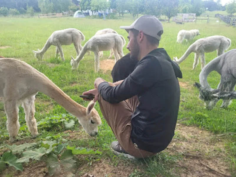 Nimbus Farm Alpacas LLC