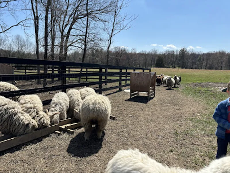 Agape Family Farm