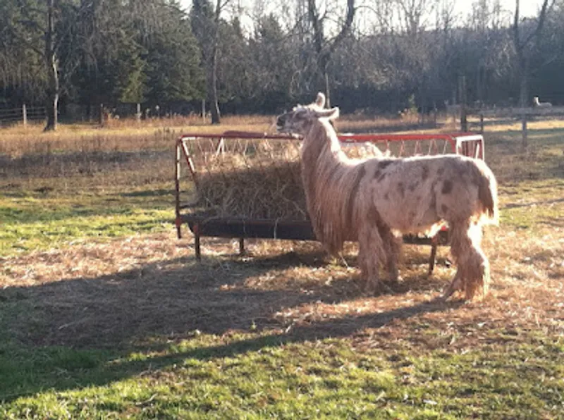 WoodsEdge Farm