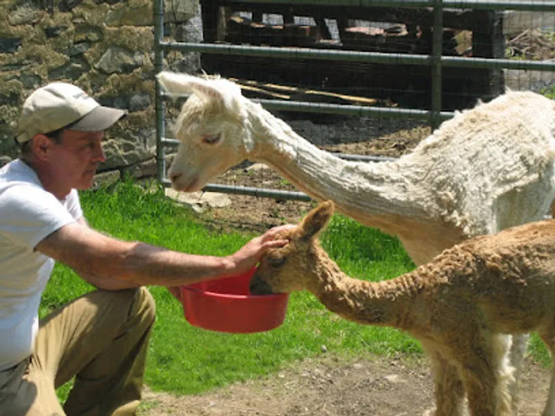 Hobble Hill Farm