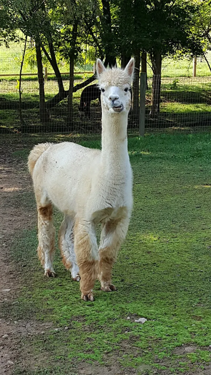 Fair Winds Farm