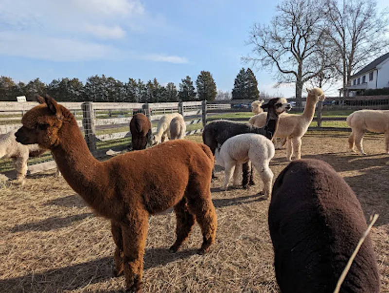 Crimson Skye Farm