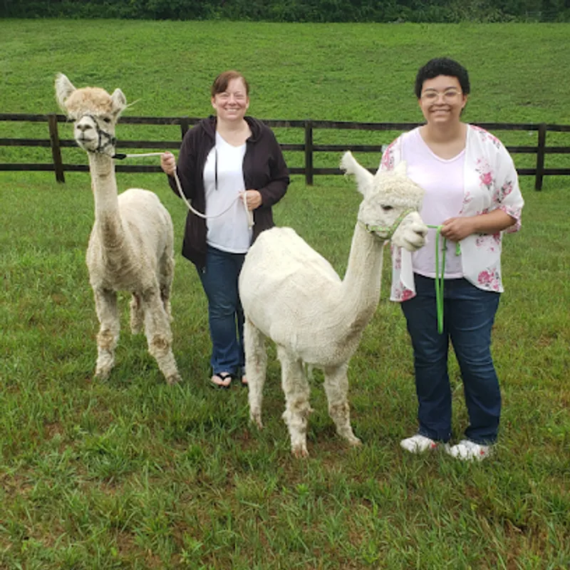 Lilymoore Alpaca and Llama Farm